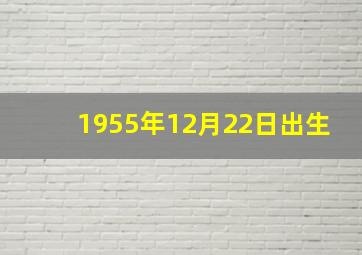 1955年12月22日出生