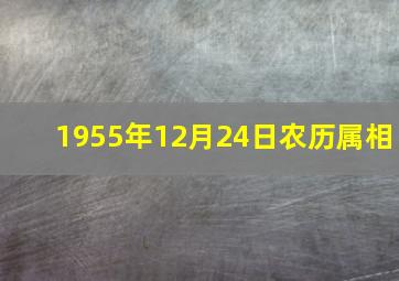 1955年12月24日农历属相