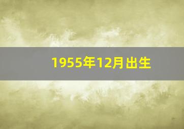 1955年12月出生