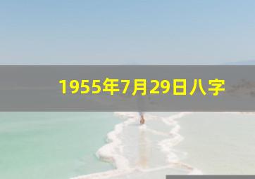 1955年7月29日八字