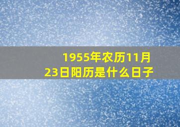 1955年农历11月23日阳历是什么日子