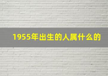 1955年出生的人属什么的