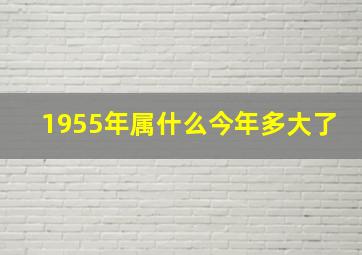 1955年属什么今年多大了