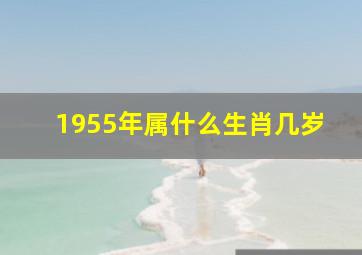 1955年属什么生肖几岁