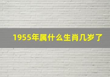 1955年属什么生肖几岁了