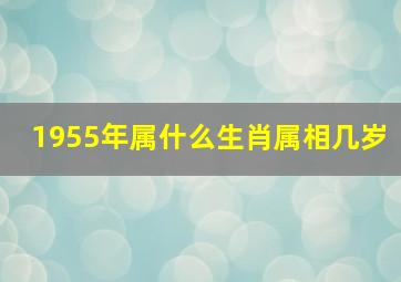 1955年属什么生肖属相几岁