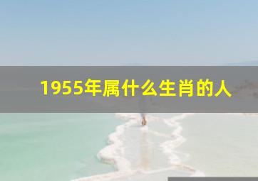 1955年属什么生肖的人