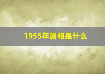 1955年属相是什么