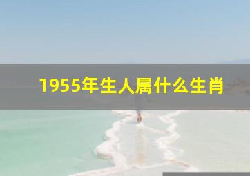 1955年生人属什么生肖