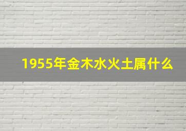 1955年金木水火土属什么