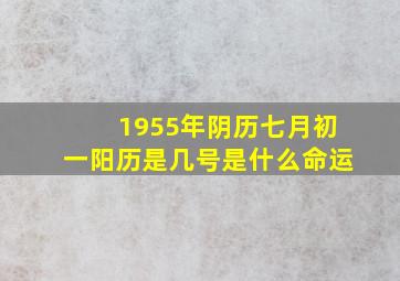 1955年阴历七月初一阳历是几号是什么命运