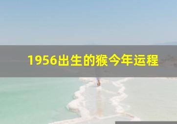 1956出生的猴今年运程