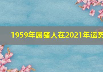 1959年属猪人在2021年运势