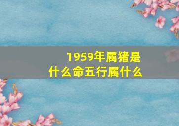 1959年属猪是什么命五行属什么