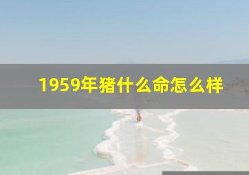 1959年猪什么命怎么样