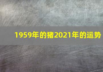 1959年的猪2021年的运势