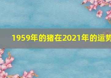 1959年的猪在2021年的运势