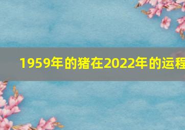 1959年的猪在2022年的运程