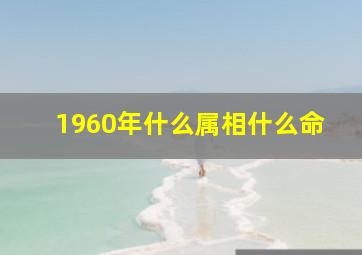 1960年什么属相什么命