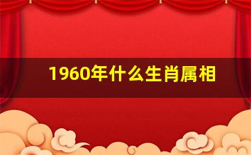 1960年什么生肖属相