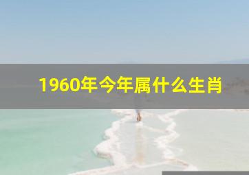 1960年今年属什么生肖