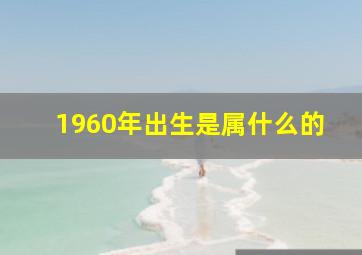 1960年出生是属什么的