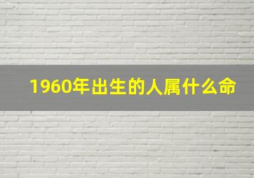 1960年出生的人属什么命