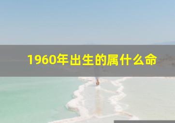 1960年出生的属什么命