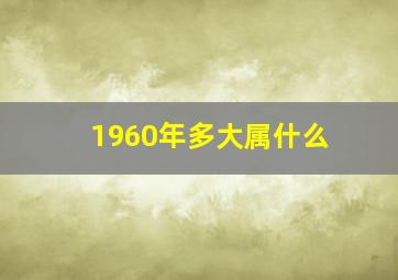 1960年多大属什么