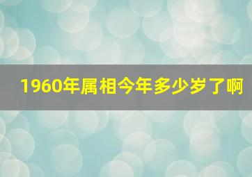 1960年属相今年多少岁了啊