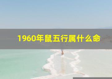 1960年鼠五行属什么命