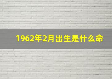 1962年2月出生是什么命