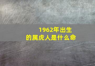 1962年出生的属虎人是什么命