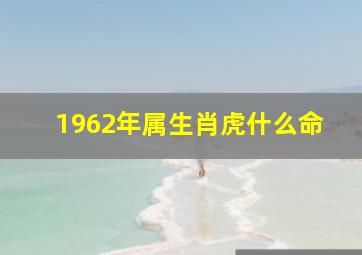 1962年属生肖虎什么命