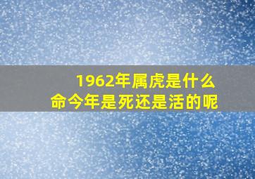 1962年属虎是什么命今年是死还是活的呢