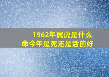 1962年属虎是什么命今年是死还是活的好