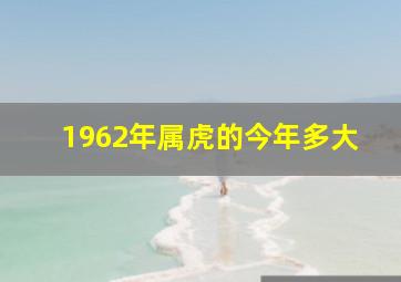 1962年属虎的今年多大