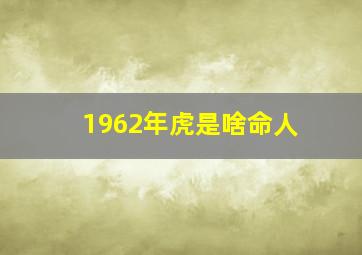 1962年虎是啥命人