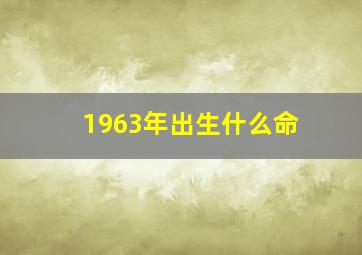 1963年出生什么命