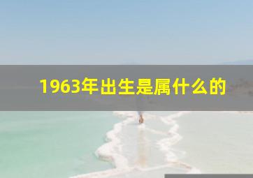 1963年出生是属什么的