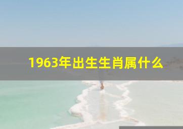 1963年出生生肖属什么