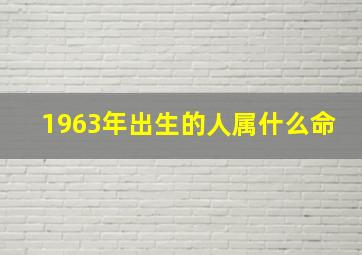 1963年出生的人属什么命