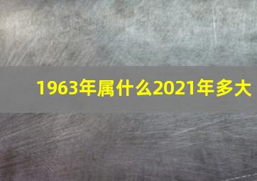 1963年属什么2021年多大