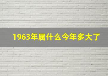 1963年属什么今年多大了