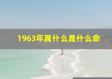 1963年属什么是什么命