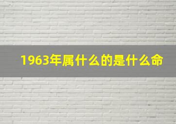 1963年属什么的是什么命