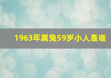 1963年属兔59岁小人是谁