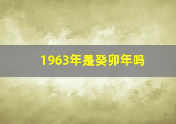 1963年是癸卯年吗