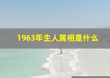 1963年生人属相是什么