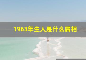 1963年生人是什么属相